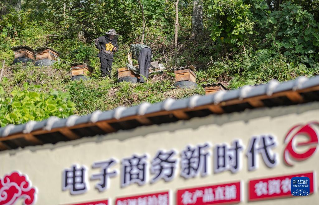 有个叫第9代捕鱼
